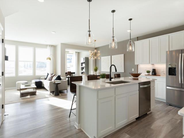 14951 Avondale View Rosemount MN 55068 - MLS# 7057725