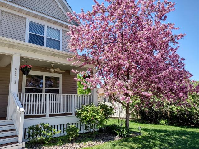 615 1st Avenue NW Osseo MN 55369 - MLS# 7058393