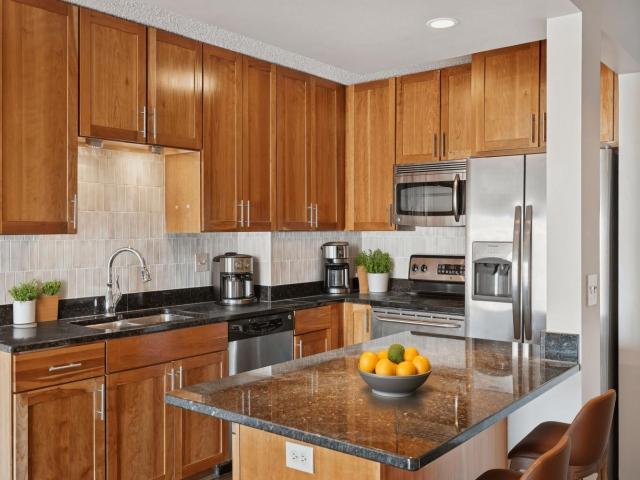 401 S 1st Street Unit 215 Minneapolis MN 55401 - MLS# 7061627