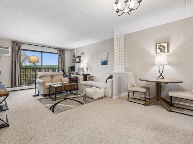 10411 Cedar Lake Road Unit 515 Hopkins MN 55305 - MLS# 7063525