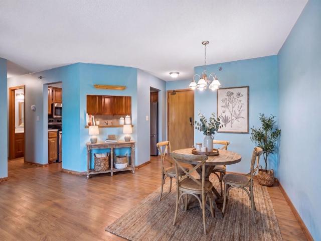 3801 W 98th Street Unit 209 Minneapolis MN 55431 - MLS# 7067937