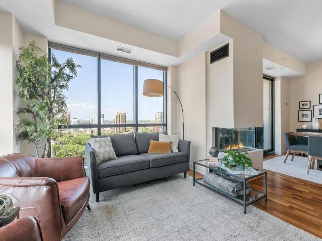 100 3rd Avenue S Unit 1703 Minneapolis MN 55401 - MLS# 7068470