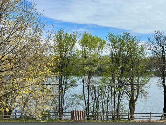 294 Mccarrons Boulevard S Saint Paul MN 55113 - MLS# 7068745