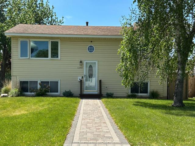 1249 Ashland Avenue Saint Paul Park MN 55071 - MLS# 7073084