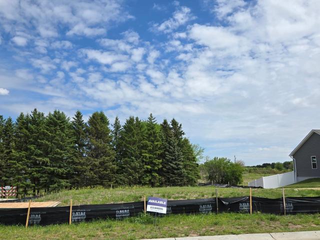 8801 Jules Avenue S Cottage Grove MN 55016 - MLS# 7078900