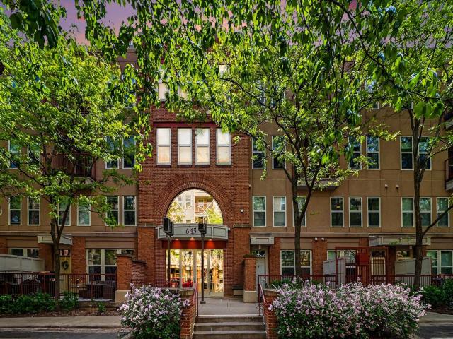 645 N 1st Street Unit 300 Minneapolis MN 55401 - MLS# 7079283