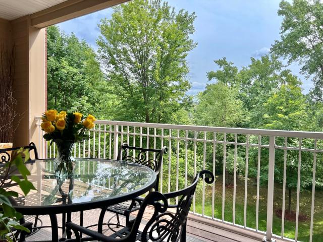 408 Parkers Lake Road Unit 206 Wayzata MN 55391 - MLS# 7087887