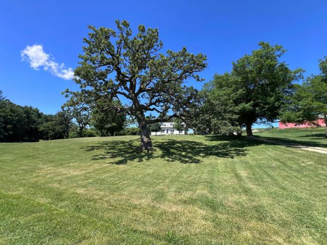 11055 317th Street Cannon Falls MN 55009 - MLS# 7092147