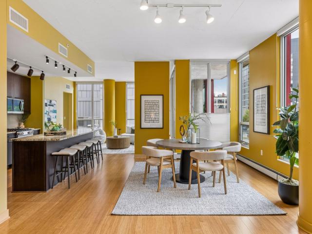 901 S 2nd Street Unit 207 Minneapolis MN 55415 - MLS# 7093409