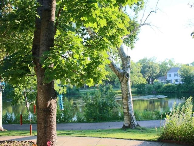 6877 Grenwich Lane N Saint Paul MN 55128 - MLS# 7096122
