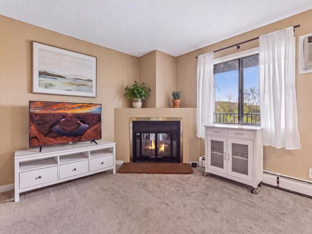 7401 W 101st Street Unit 320 Minneapolis MN 55438 - MLS# 7101059