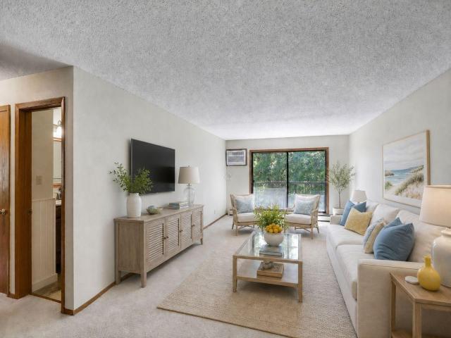 4 Pine Tree Drive Unit 320 Saint Paul MN 55112 - MLS# 7105258