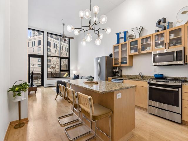 1120 S 2nd Street Unit 102 Minneapolis MN 55415 - MLS# 7125589