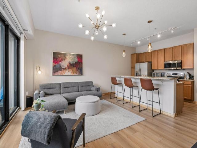 4525 Park Commons Drive Unit 202 Saint Louis Park MN 55416 - MLS# 7146595