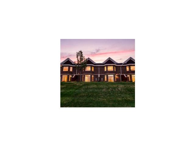 10823 Falling Water Lane Unit B Woodbury MN 55129 - MLS# 7157950