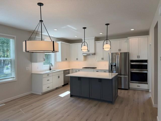 4801 Baker Reserve Lane Maple Plain MN 55359 - MLS# 7161786