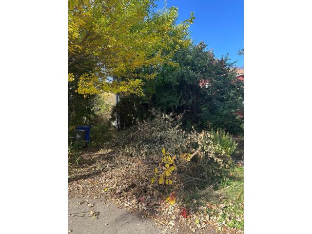591 Clifford Street Saint Paul MN 55104 - MLS# 7164397 — photo 2