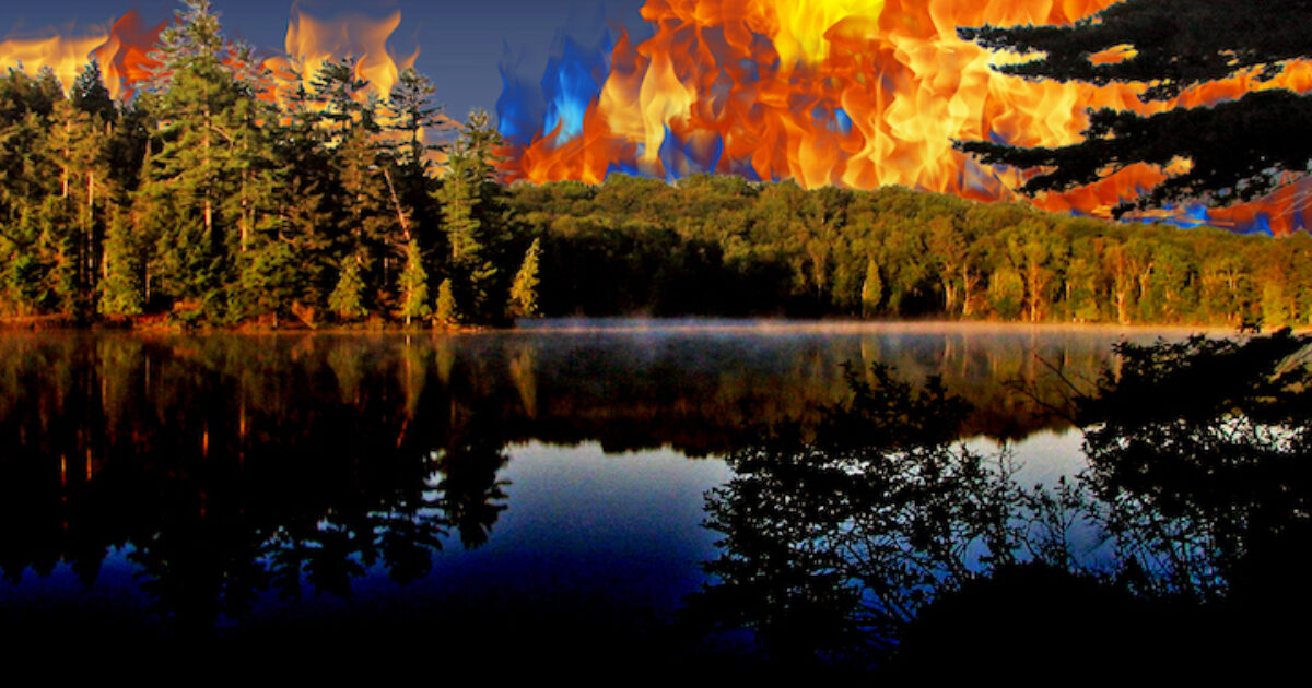 A Pitch to Protect New York's Forests: Burn Them - Vimarsana News