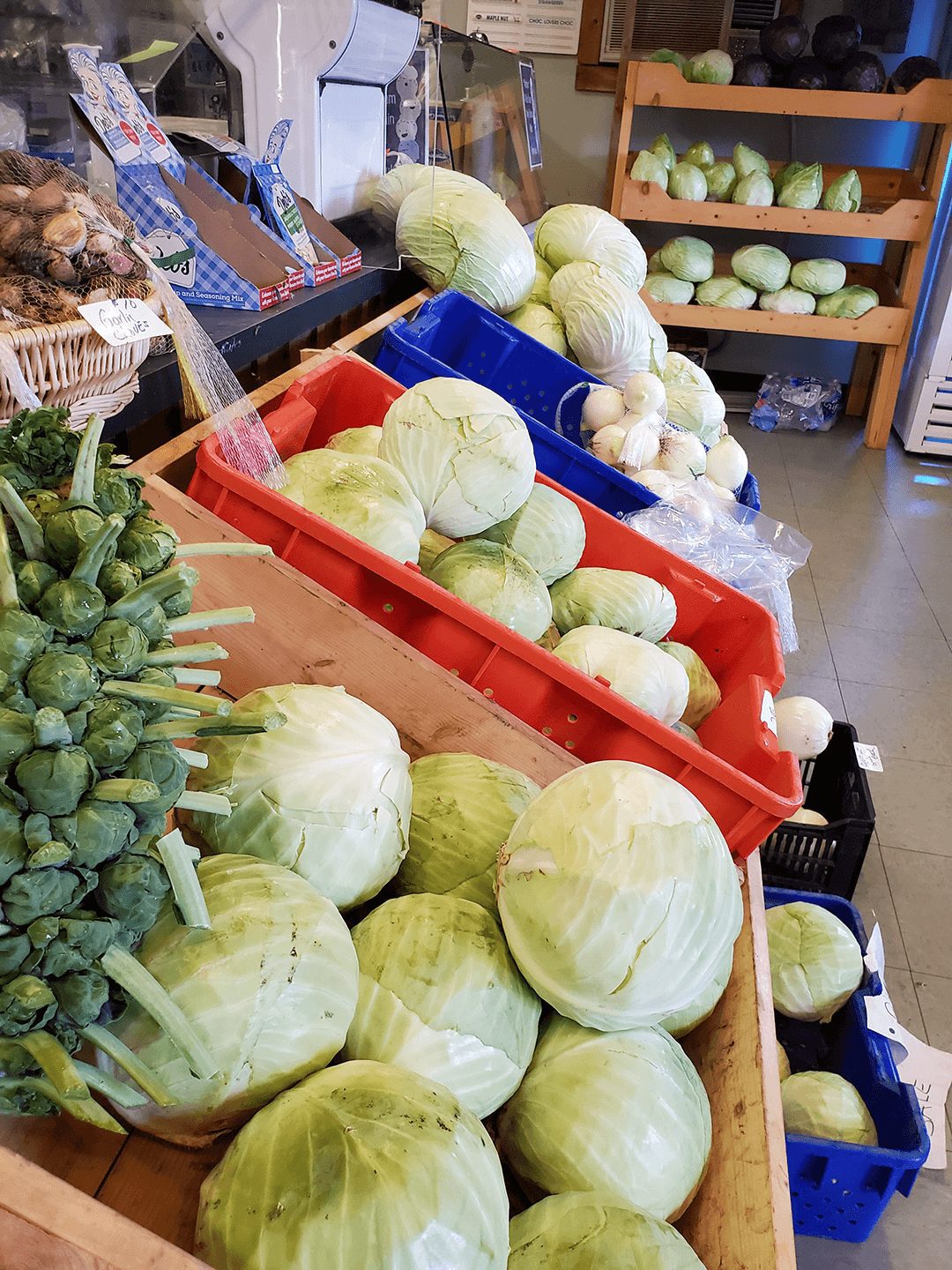 Westward Ho! Travel Lakeland