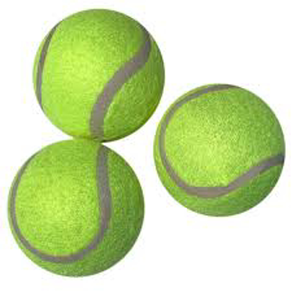 TREFOIL EDUCATIONAL TENNIS BALLS 3'S