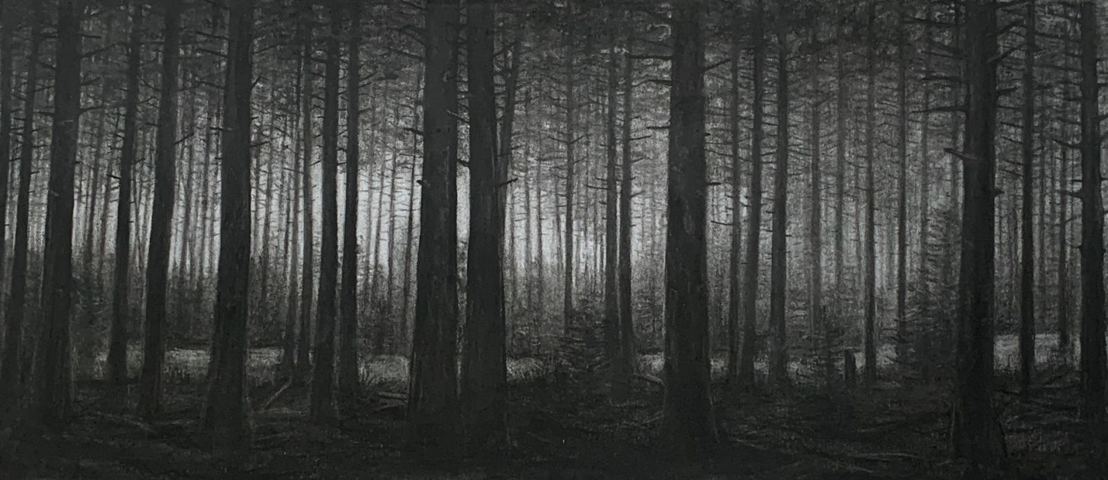 Darcy Scanlon Moulton | We Will Never Be Found | Charcoal | Winner of the NSAA Board of Trustees Award for a Excellence in Any Medium