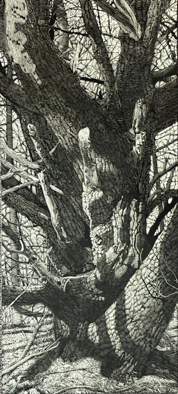 Joe Smith | Branching Out | Scratchboard | Winner of the Institution for Savings Bank Award for Excellence in Any Medium Out