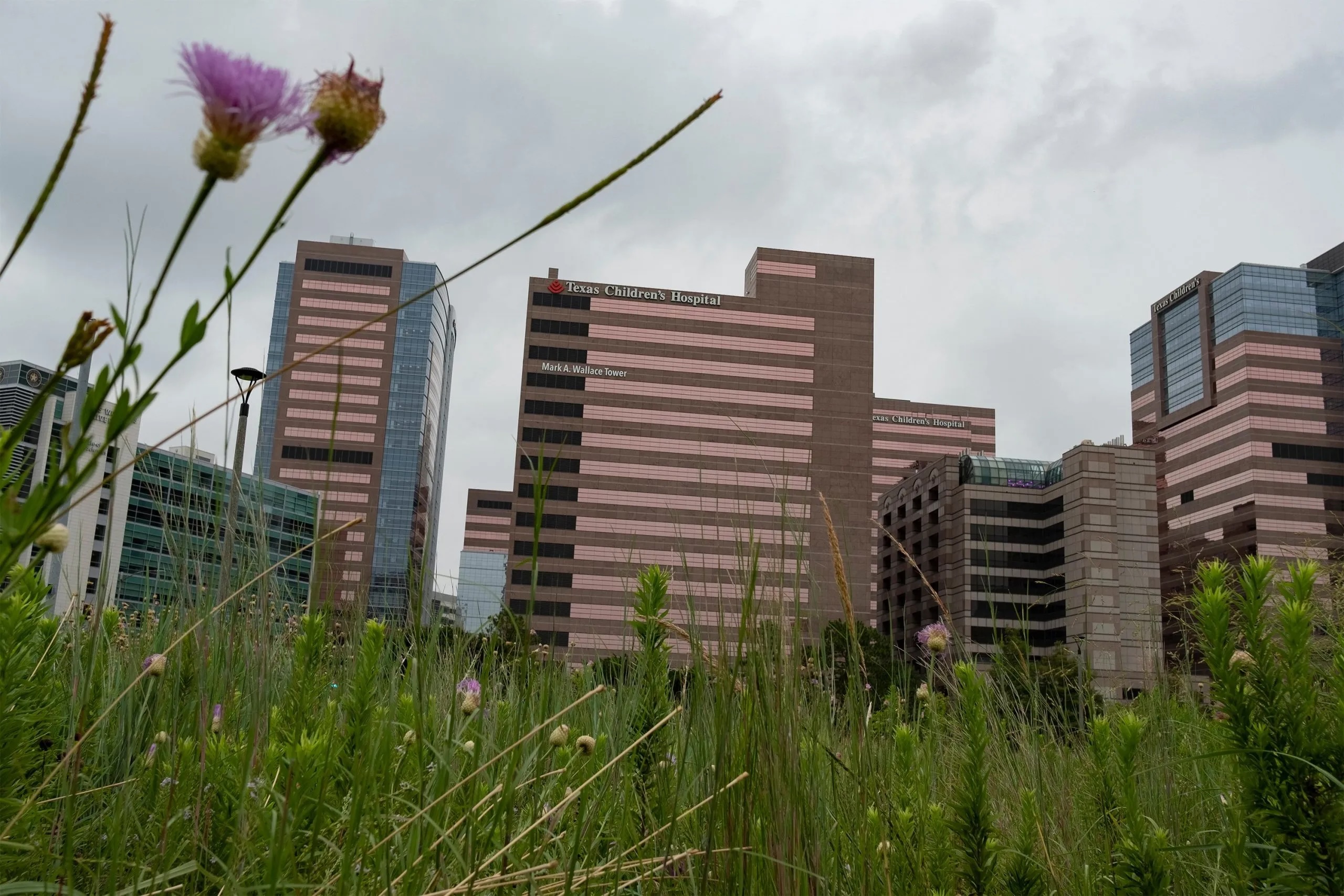 Texas Children’s Hospital’s Detransition Clinic to Launch This Year