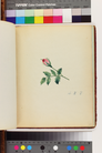 Dickerson album 13860 q thumb