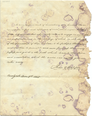 A00181915 thumb