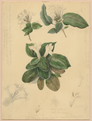 A00185698 thumb