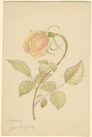 A00185710 01 thumb