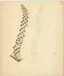 A00185731 thumb