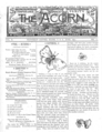 Acorn 02 12 01 thumb