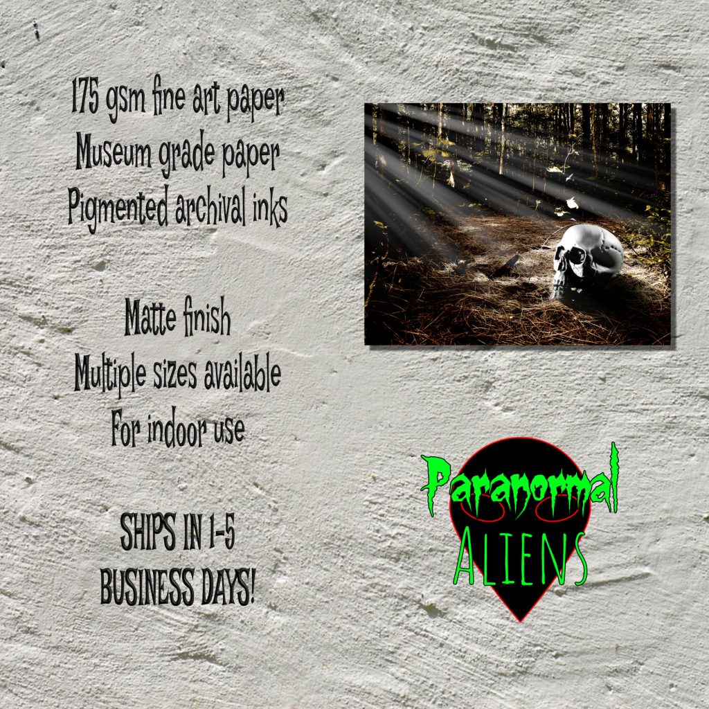 Skeleton Forest Picture, Dark And Moody, Spooky Decor, Halloween Picture, Skeleton Goth Art Print, Skull Print - Image 5