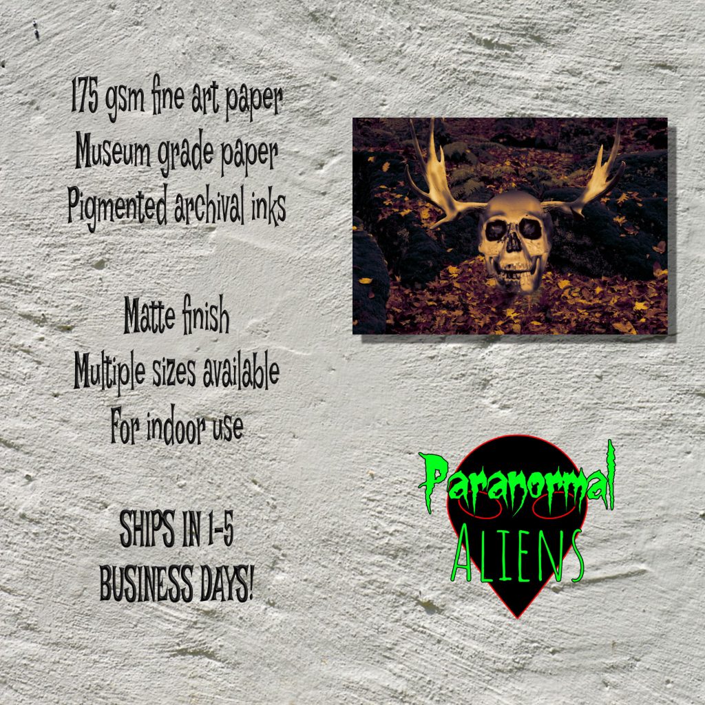 Creepy Skull Art Skeleton Print, Goth Gift, Macabre Art, Skull With Antlers, Halloween Print, Skeleton Photo - Image 5