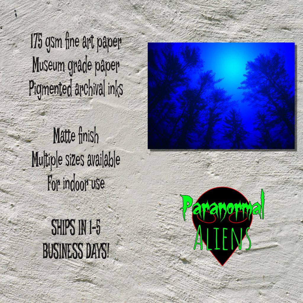 Creepy Poster, Dark And Moody Blue Forest, Spooky Trees, Dark Art Print, Spooky Forest, Gothic Fantasy Art, Goth Gift - Image 5