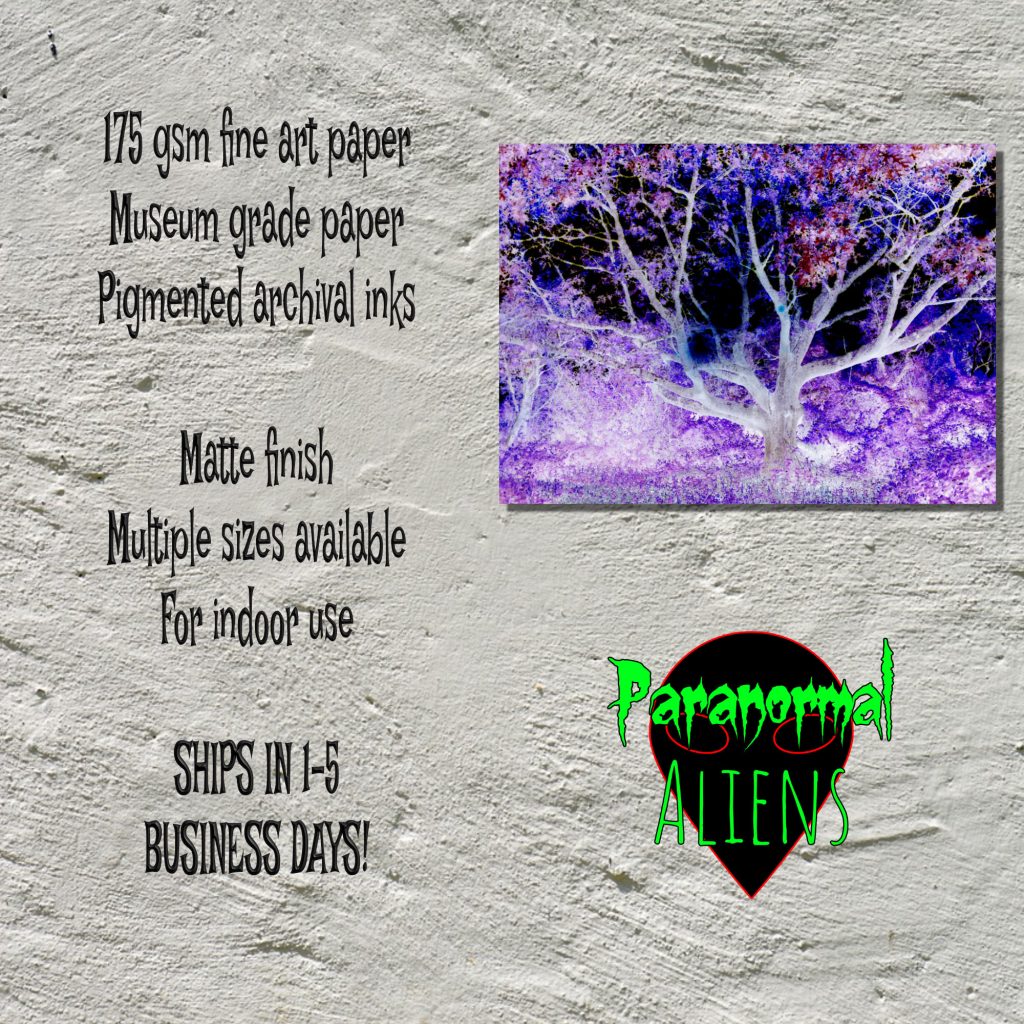 Dark Art Print, Landscape Poster, Gothic Tree, Living Room Art, Goth Gift, Goth Wall Art, Creepy Poster - Image 5