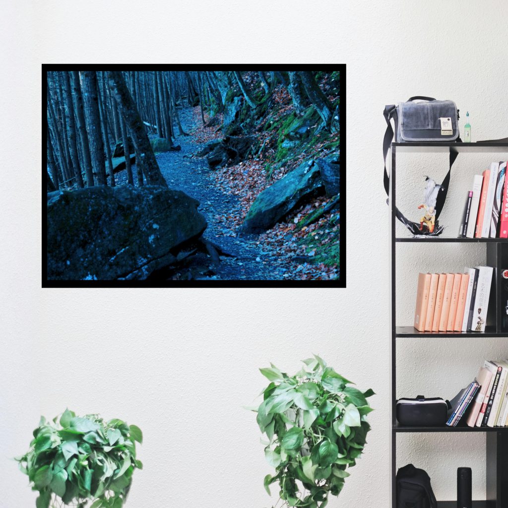 Dark Forest Landscape Creepy Poster, Moody Wall Art, Goth Wall Art, Haunted Forest, Horror Gift, Halloween Picture, Dark Art Print - Image 4