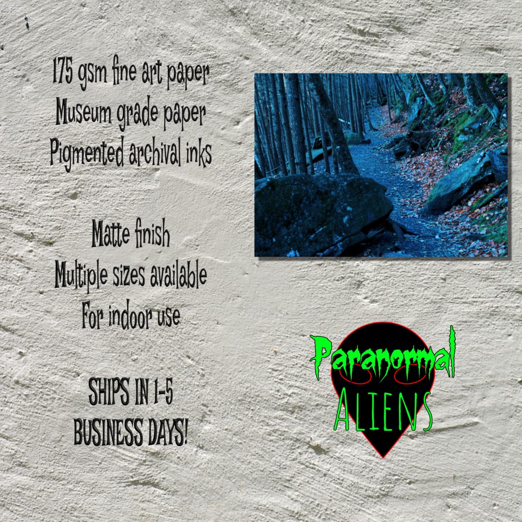 Dark Forest Landscape Creepy Poster, Moody Wall Art, Goth Wall Art, Haunted Forest, Horror Gift, Halloween Picture, Dark Art Print - Image 5