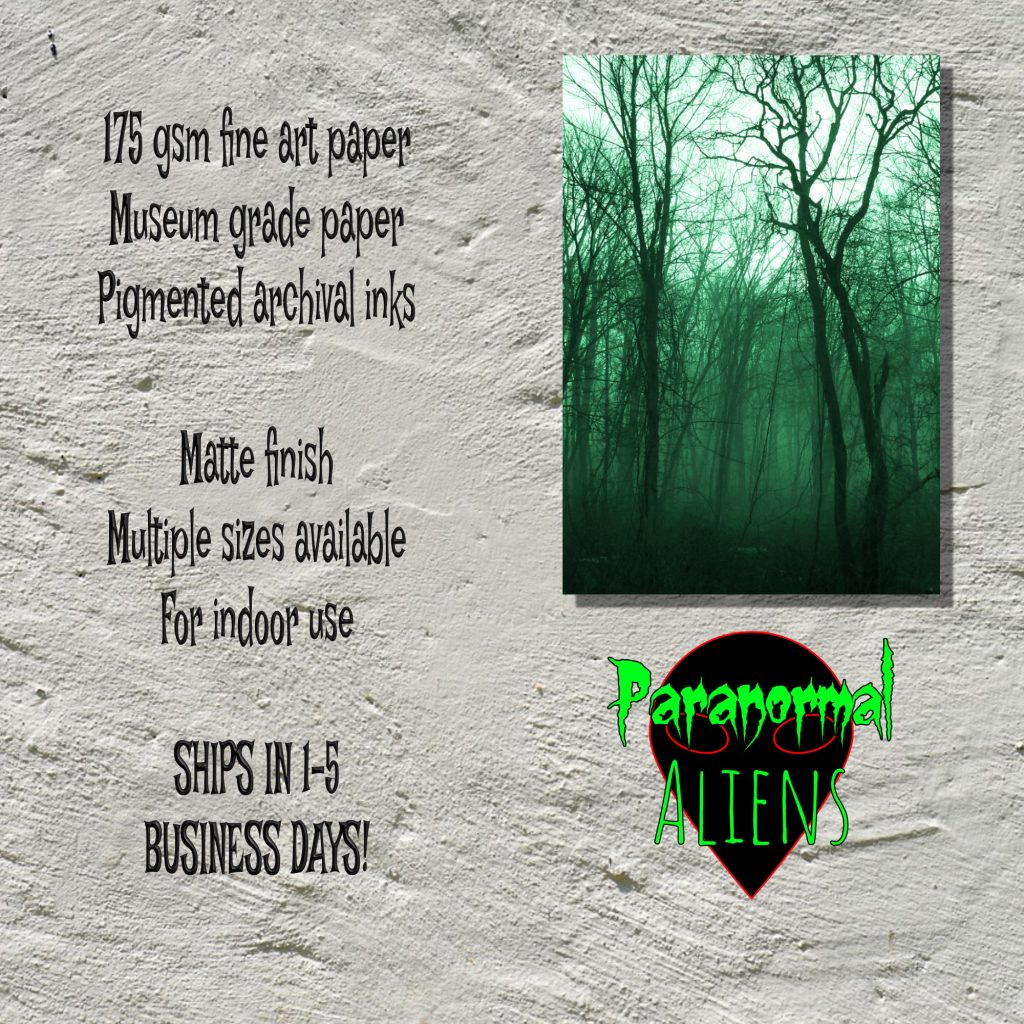 Dark Landscape Goth Wall Art, Gothic Decor, Foggy Green Spooky Forest, Moody Wall Art, Horror Gift, Halloween Print - Image 5