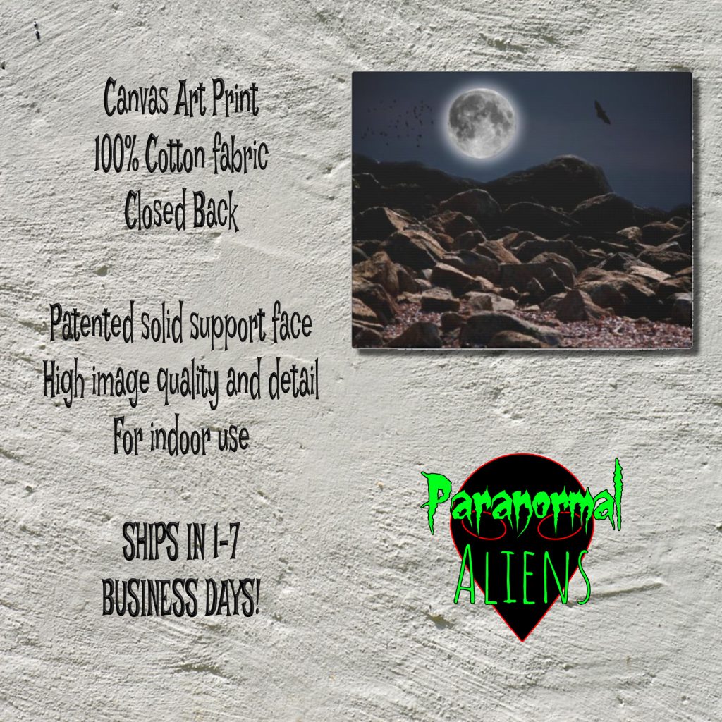 Gothic Landscape Canvas Art Print, Bats Full Moon Wall Decor, Dark Aesthetic, Halloween Wall Decoration - Image 5