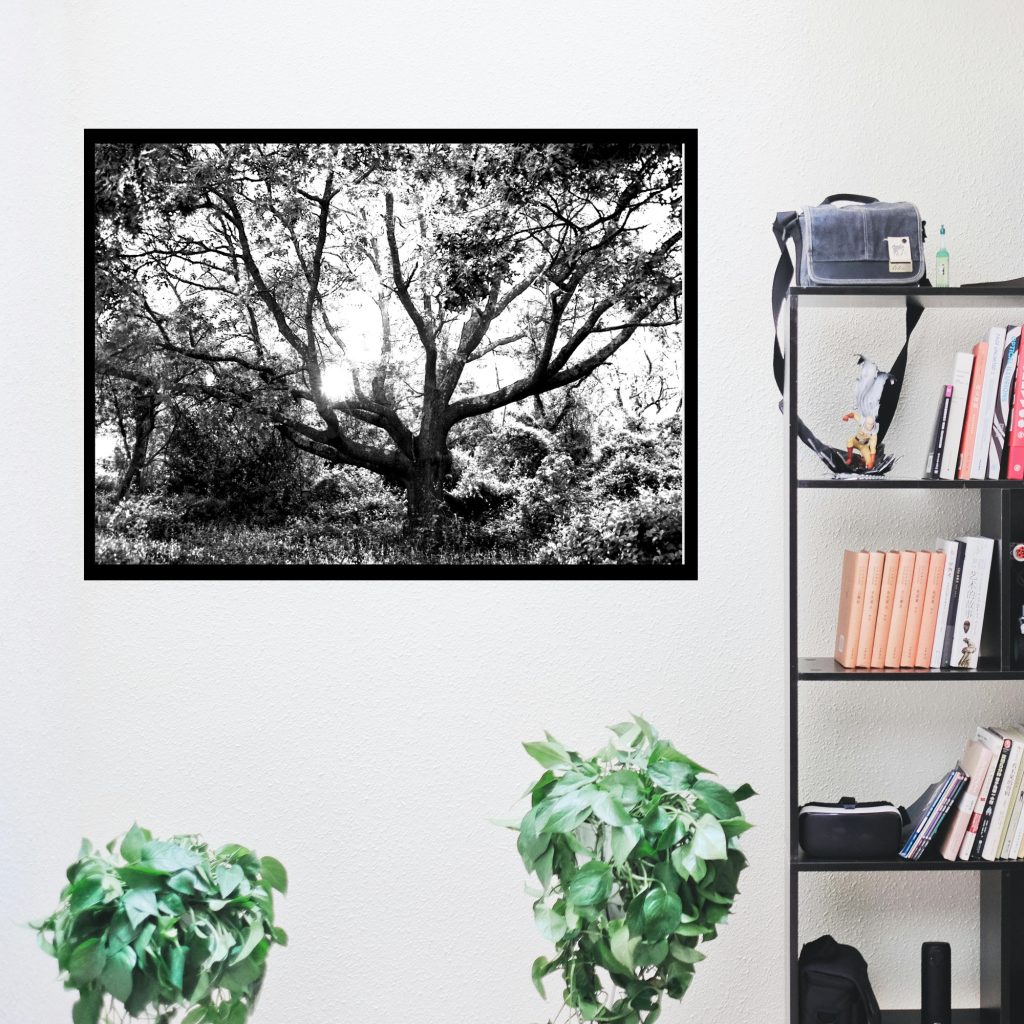 Creepy Tree Halloween Print, Black And White Dark Landscape Poster, Horror Wall Decor, Gothic Gift, Goth Wall Art - Image 4