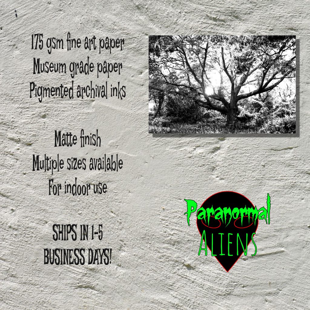 Creepy Tree Halloween Print, Black And White Dark Landscape Poster, Horror Wall Decor, Gothic Gift, Goth Wall Art - Image 5