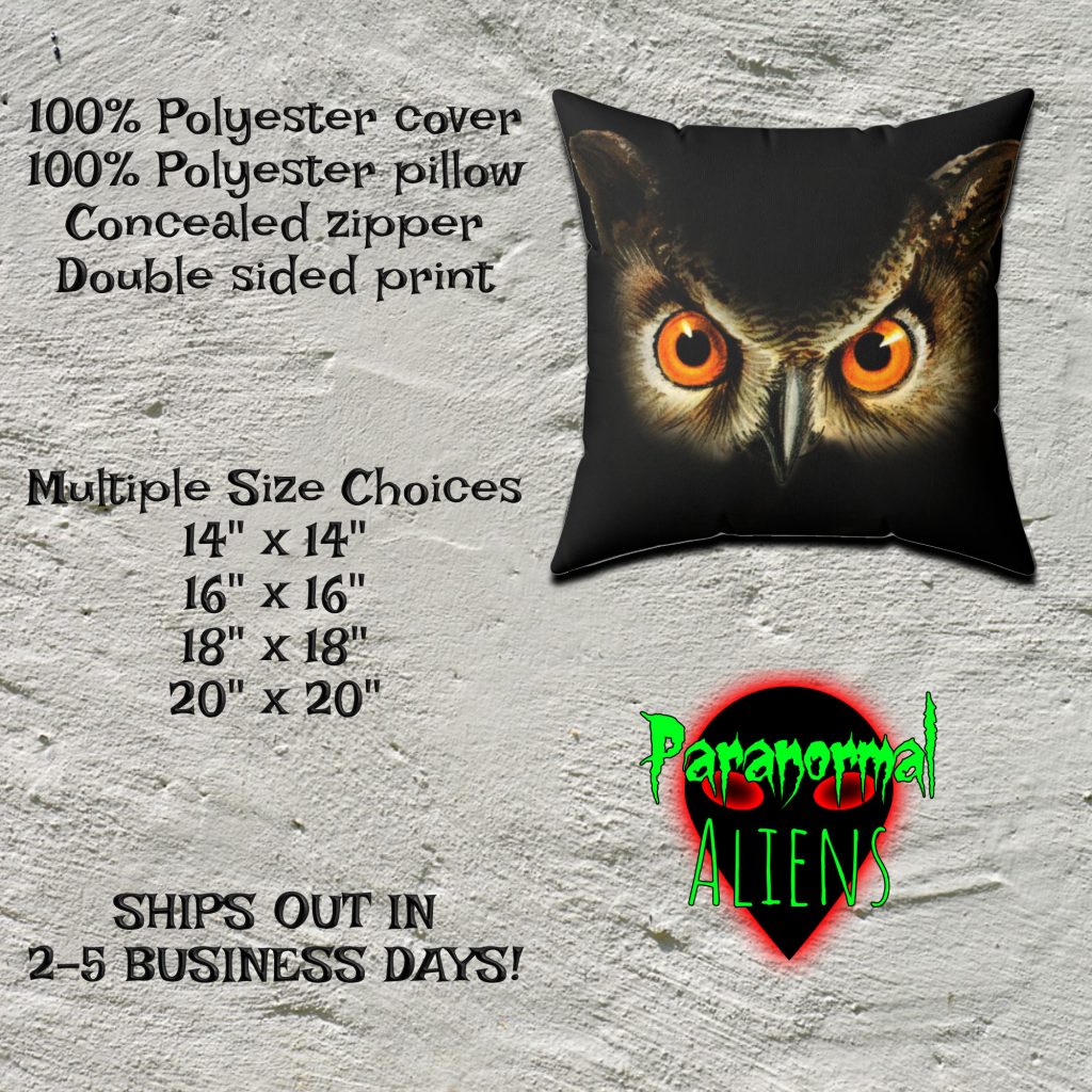 Halloween Owl Throw Pillow, Horror Gift, Unique Throw Pillow, Halloween Decoration, Gothic Pillow For The Home - Image 4
