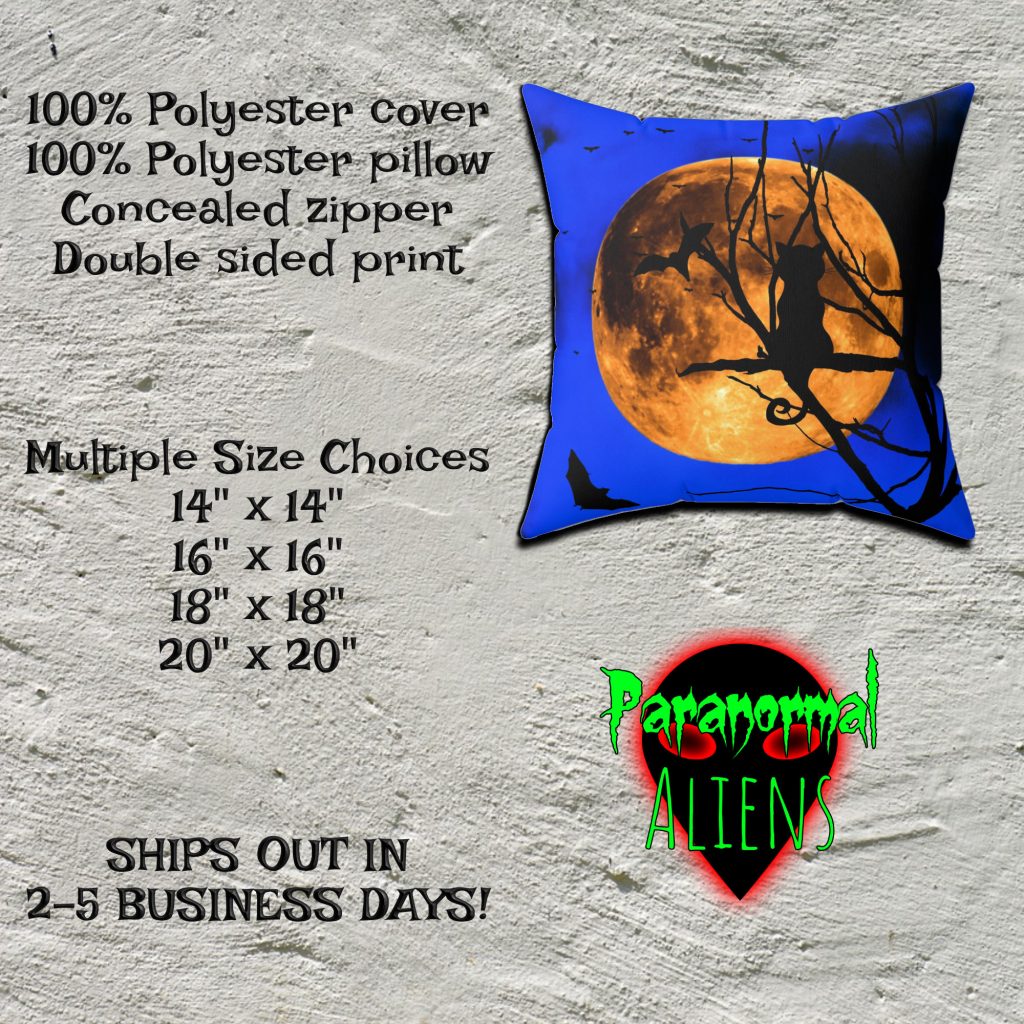 Unique Throw Pillow, Black Cat, Halloween Decoration, Goth Gift, Horror Decor, Halloween Cat Sofa Pillow - Image 5