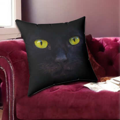Black Cat Pillow