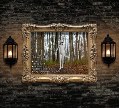 Gray Alien Informational Poster Print | Alien UFO Decor Paranormal Cryptid Gothic Wall Art - Image 2