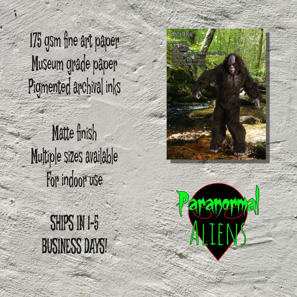 Sasquatch Bigfoot Poster, Gothic Wall Art, Bigfoot Gift, Cryptid Informational Poster, Yeti Sasquatch Bigfoot, Horror Poster - Image 5