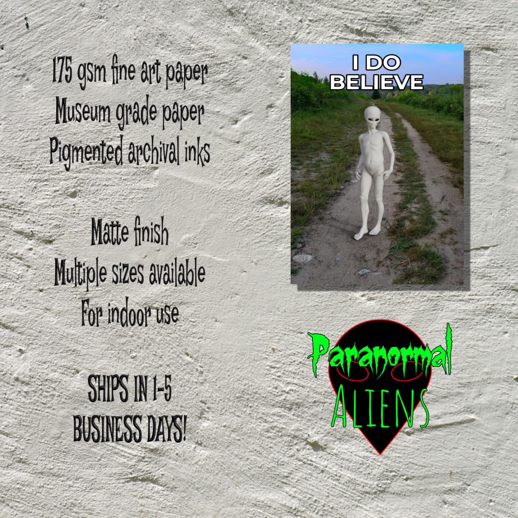 I Do Believe Alien Poster, Goth Wall Art, Alien Lover Gift, Horror Wall Decor, Cryptid Alien Decor, Creepy Poster, UFO Decor - Image 5