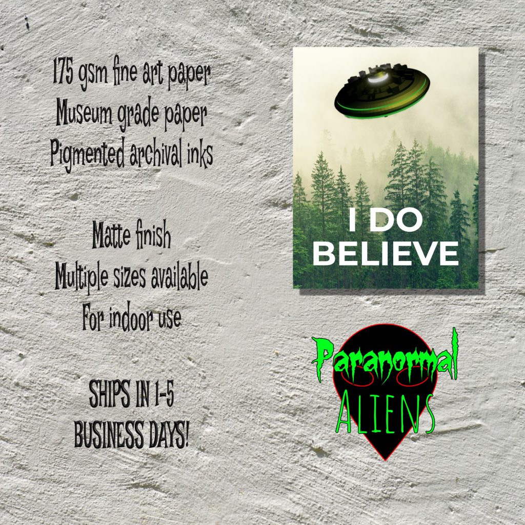 I Do Believe UFO Poster, Gothic Wall Art, Creepy Poster, UFO Lover Gift, Dark Art Print, Alien Decor - Image 5